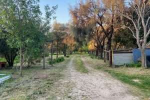 LEASINGHAM, SA 5452 AUS