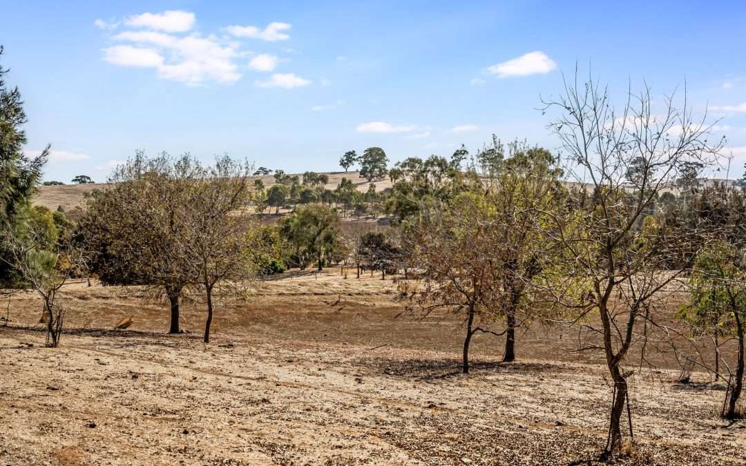 LEASINGHAM, SA 5452 AUS