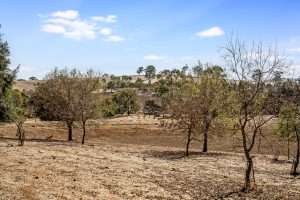 LEASINGHAM, SA 5452 AUS