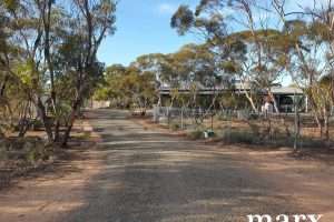 216 Diagonal Road, ANNADALE, SA 5356 AUS