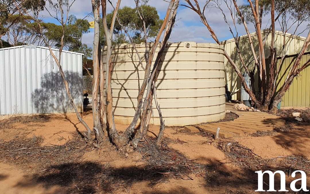 216 Diagonal Road, ANNADALE, SA 5356 AUS