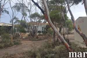 216 Diagonal Road, ANNADALE, SA 5356 AUS