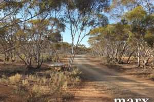 216 Diagonal Road, ANNADALE, SA 5356 AUS