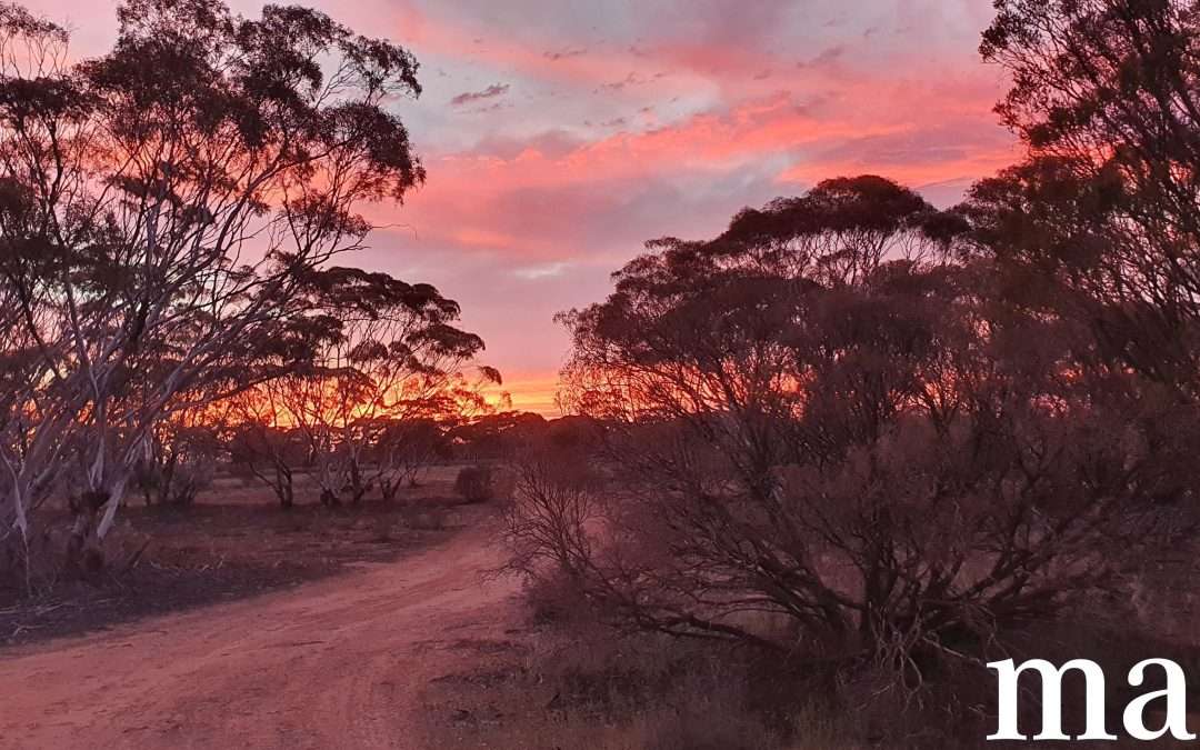 216 Diagonal Road, ANNADALE, SA 5356 AUS