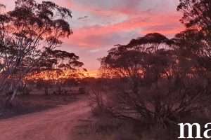 216 Diagonal Road, ANNADALE, SA 5356 AUS