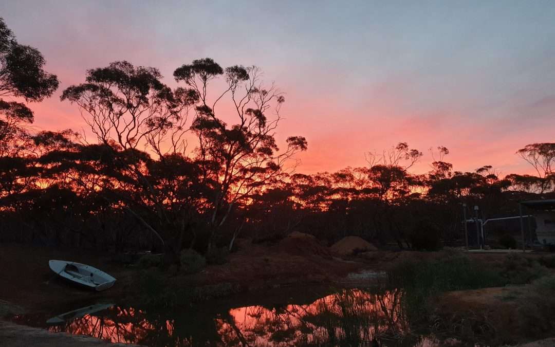 216 Diagonal Road, ANNADALE, SA 5356 AUS