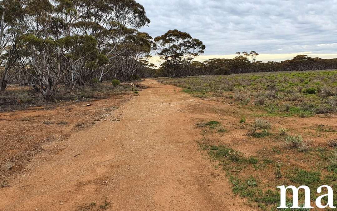 216 Diagonal Road, ANNADALE, SA 5356 AUS