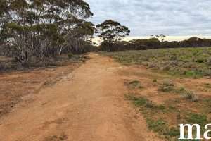 216 Diagonal Road, ANNADALE, SA 5356 AUS