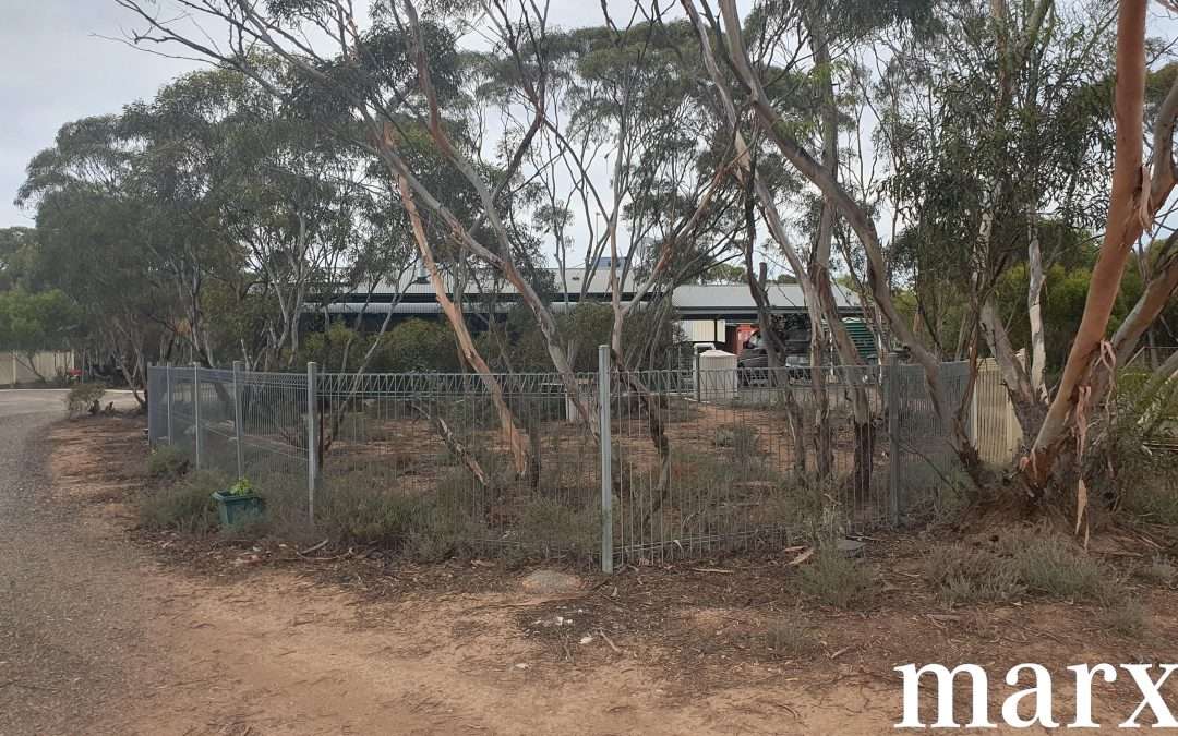 216 Diagonal Road, ANNADALE, SA 5356 AUS