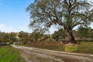 2010 Eden Valley Road, EDEN VALLEY, SA 5235 AUS