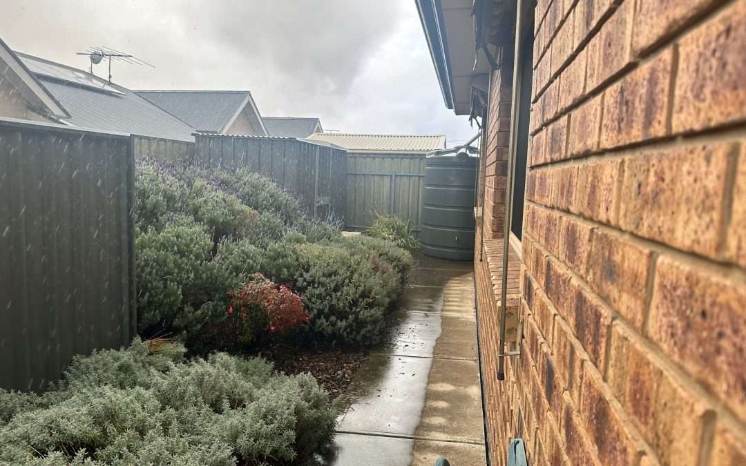 3 Francis Street East, NURIOOTPA, SA 5355 AUS
