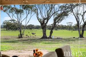 280 Swamp Road, TRURO, SA 5356 AUS