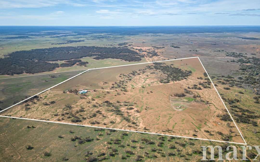 280 Swamp Road, TRURO, SA 5356 AUS