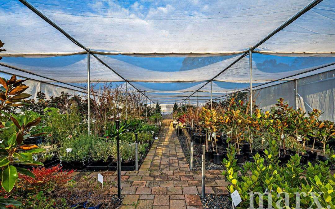 51 Victoria Terrace, WILLIAMSTOWN, SA 5351 AUS