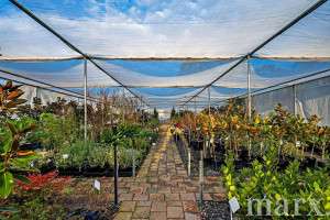 51 Victoria Terrace, WILLIAMSTOWN, SA 5351 AUS