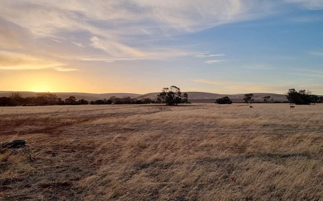 23 Third Street, TOWITTA, SA 5353 AUS