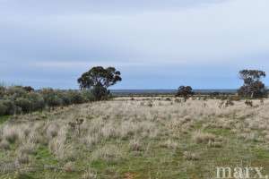 23 Third Street, TOWITTA, SA 5353 AUS