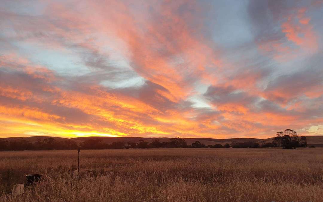 23 Third Street, TOWITTA, SA 5353 AUS