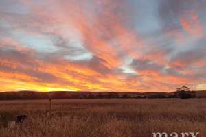 23 Third Street, TOWITTA, SA 5353 AUS