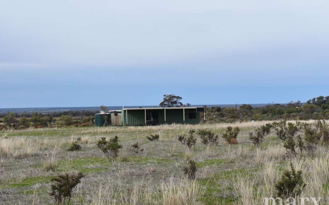 23 Third Street, TOWITTA, SA 5353 AUS