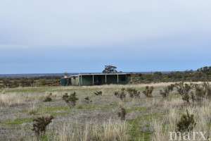 23 Third Street, TOWITTA, SA 5353 AUS