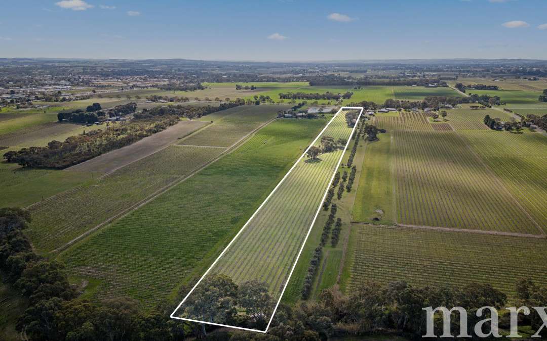 Lot 880 Basedow Road, BETHANY, SA 5352 AUS