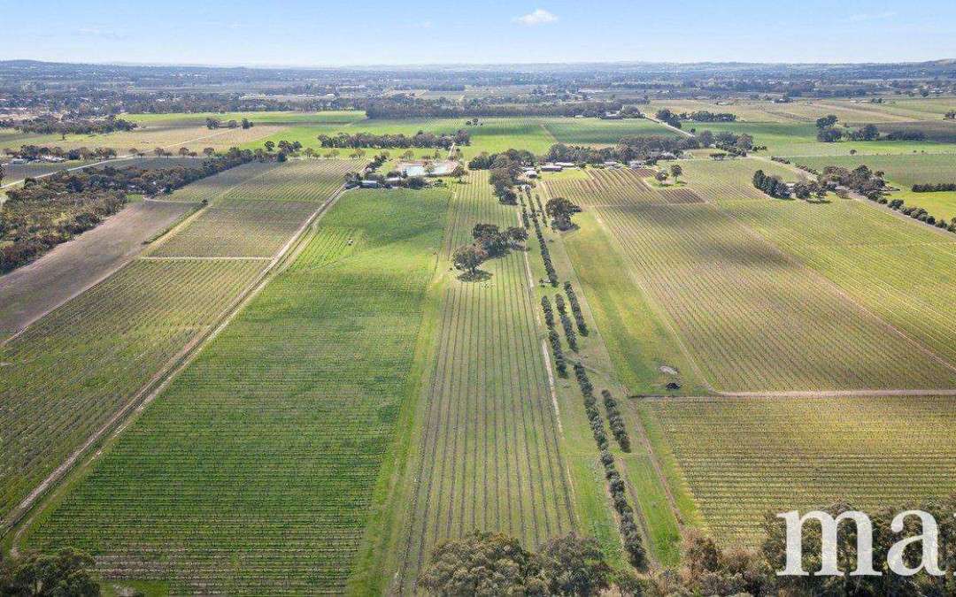 Lot 880 Basedow Road, BETHANY, SA 5352 AUS