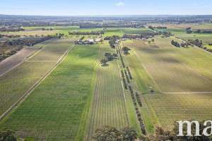 Lot 880 Basedow Road, BETHANY, SA 5352 AUS