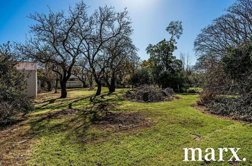 33-35 John Street, TANUNDA, SA 5352 AUS