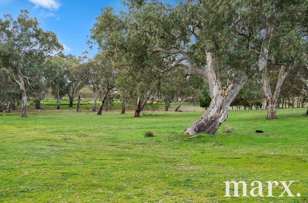 74 Heggies Boundary Road, FLAXMAN VALLEY, SA 5235 AUS