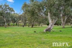 74 Heggies Boundary Road, FLAXMAN VALLEY, SA 5235 AUS