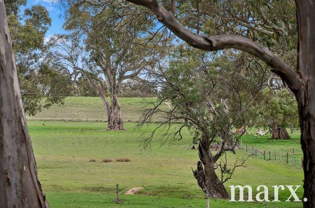 74 Heggies Boundary Road, FLAXMAN VALLEY, SA 5235 AUS