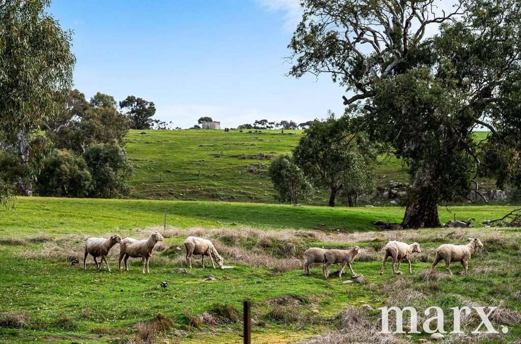 357 Keyneton Estate Road,, KEYNETON, SA 5353 AUS