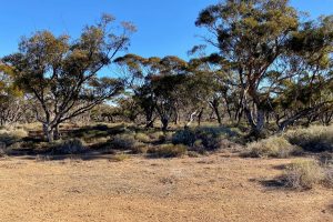 Sec 66 Hundred of Brownlow, BROWNLOW, SA 5374 AUS