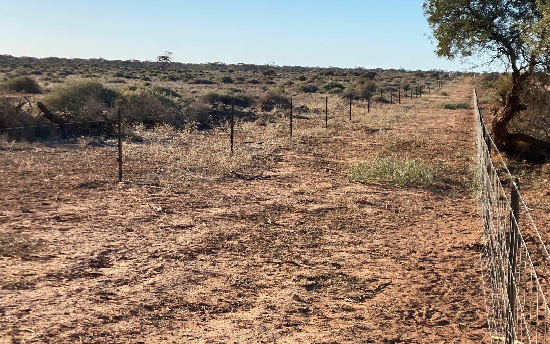Sec 66 Hundred of Brownlow, BROWNLOW, SA 5374 AUS