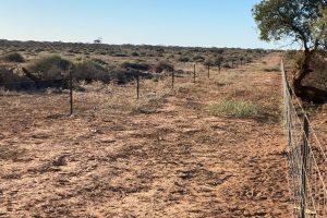 Sec 66 Hundred of Brownlow, BROWNLOW, SA 5374 AUS