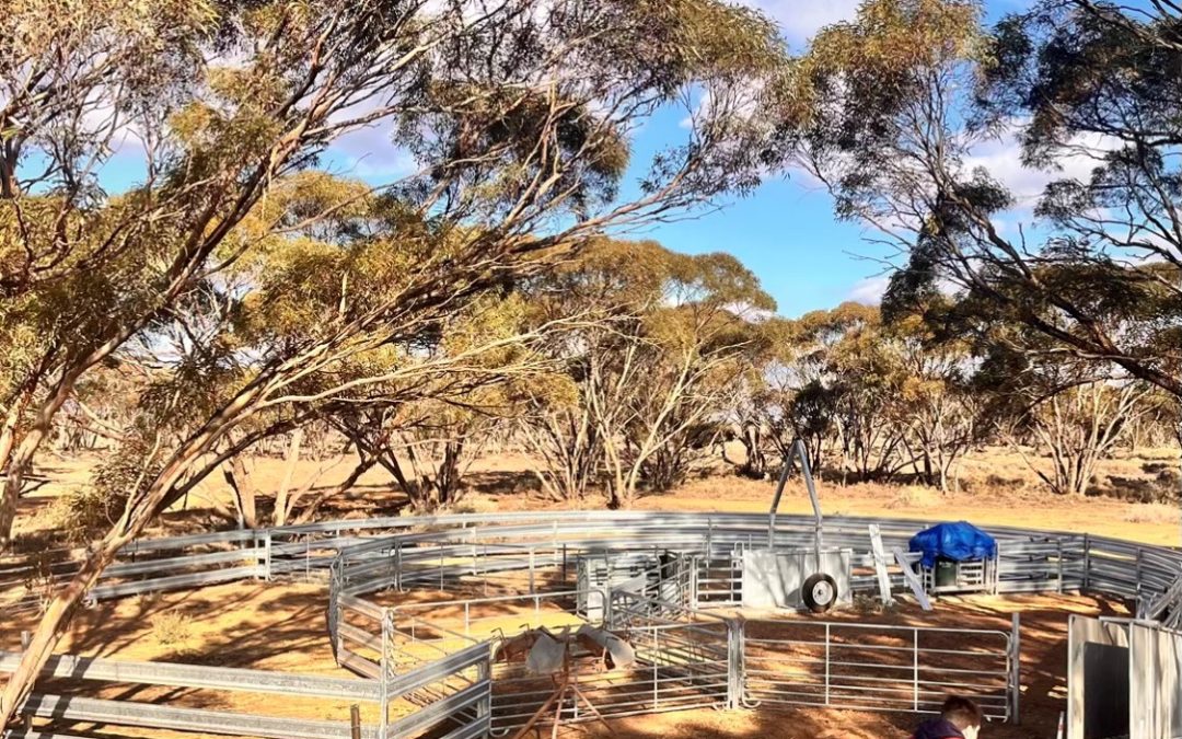 Sec 66 Hundred of Brownlow, BROWNLOW, SA 5374 AUS