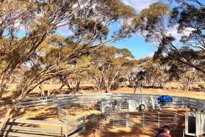 Sec 66 Hundred of Brownlow, BROWNLOW, SA 5374 AUS