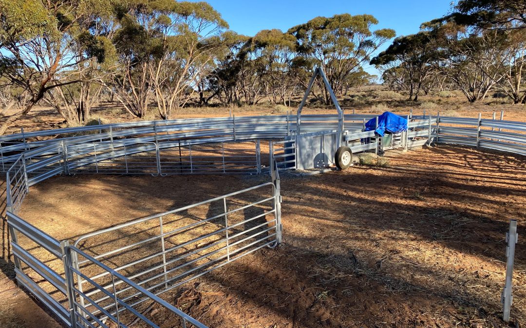 Sec 66 Hundred of Brownlow, BROWNLOW, SA 5374 AUS