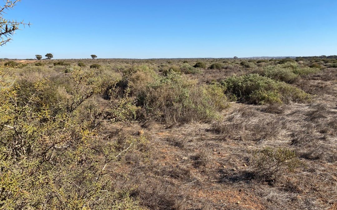 Sec 66 Hundred of Brownlow, BROWNLOW, SA 5374 AUS