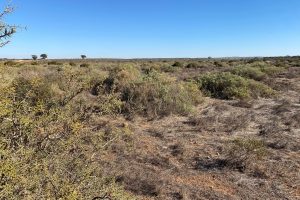 Sec 66 Hundred of Brownlow, BROWNLOW, SA 5374 AUS