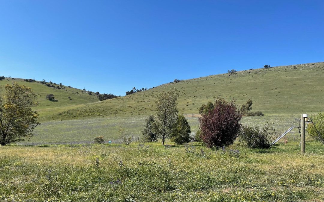 364 Peltz Road, BETHEL, SA 5373 AUS
