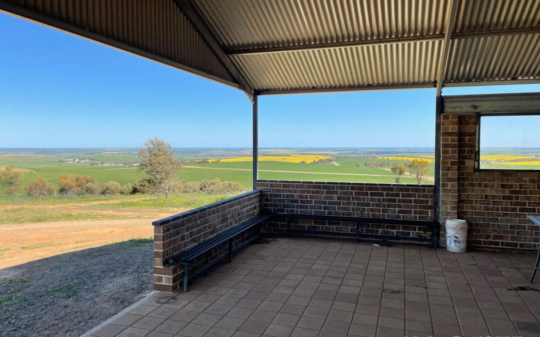 364 Peltz Road, BETHEL, SA 5373 AUS
