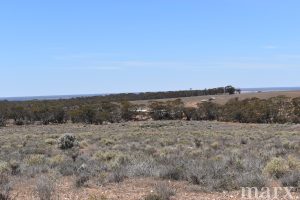 Section 22 Angle Road, BROWNLOW, SA 5374 AUS