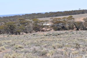 Section 22 Angle Road, BROWNLOW, SA 5374 AUS