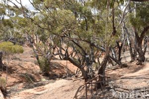 Section 22 Angle Road, BROWNLOW, SA 5374 AUS