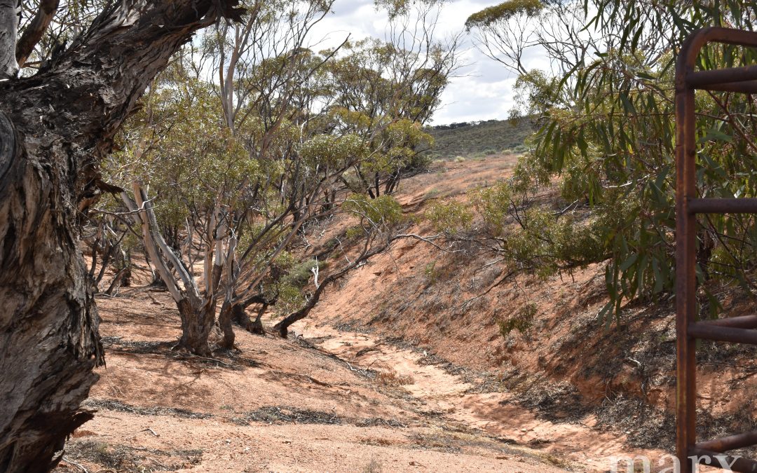 Section 22 Angle Road, BROWNLOW, SA 5374 AUS