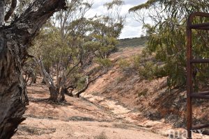 Section 22 Angle Road, BROWNLOW, SA 5374 AUS