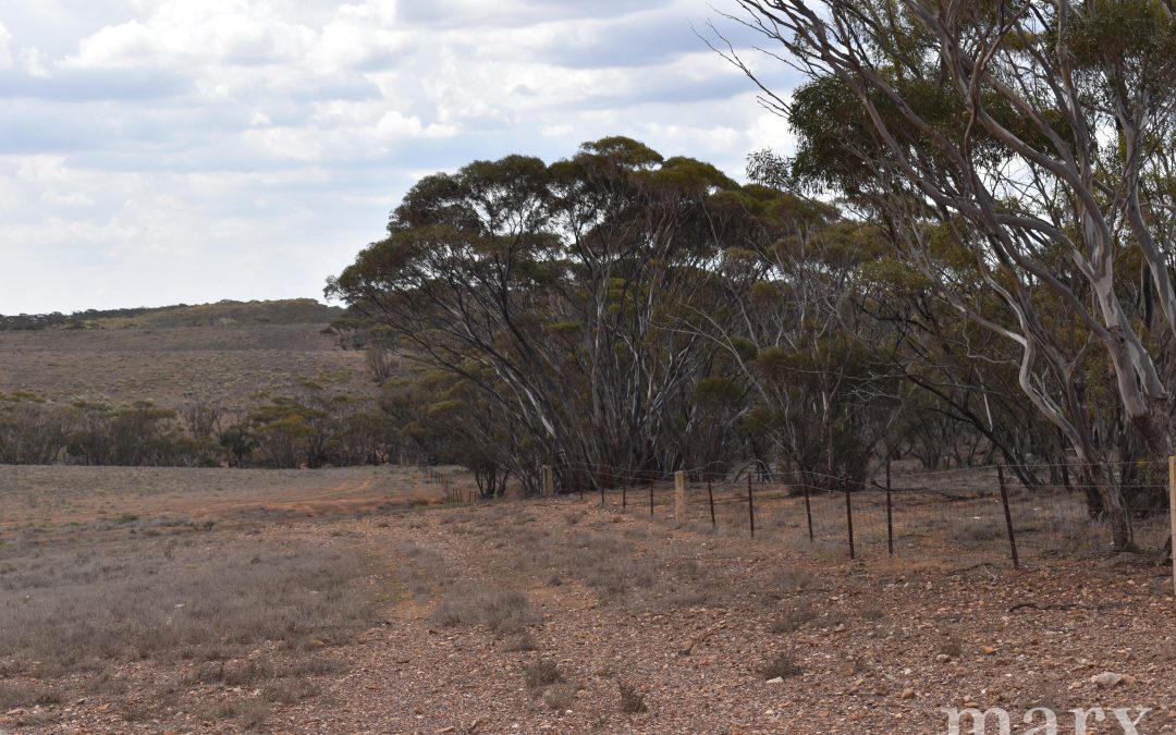 Section 22 Angle Road, BROWNLOW, SA 5374 AUS