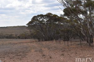 Section 22 Angle Road, BROWNLOW, SA 5374 AUS